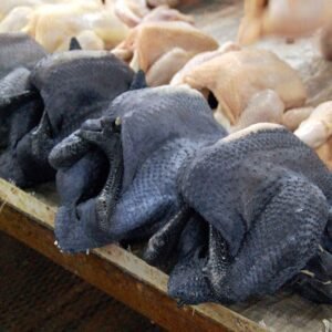Fresh Black Chicken